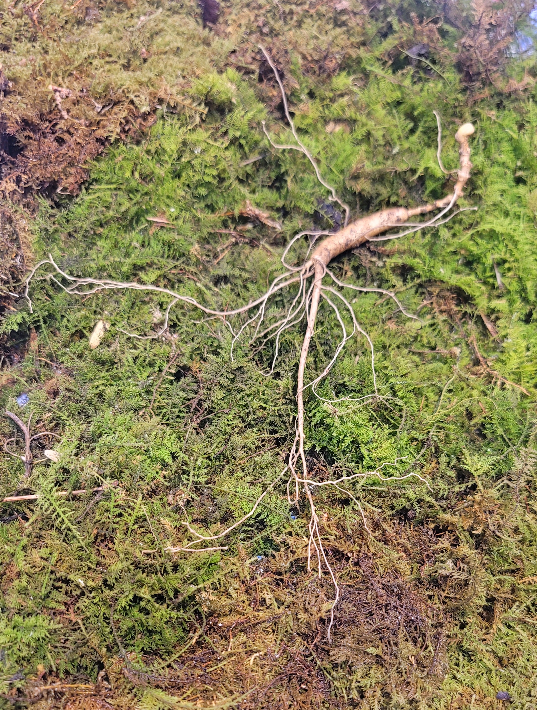 bd492bc1ba68ae5733bc8423b5825d0f_1768621752_5086.jpg bd492bc1ba68ae5733bc8423b5825d0f_1768621752_5086.jpg