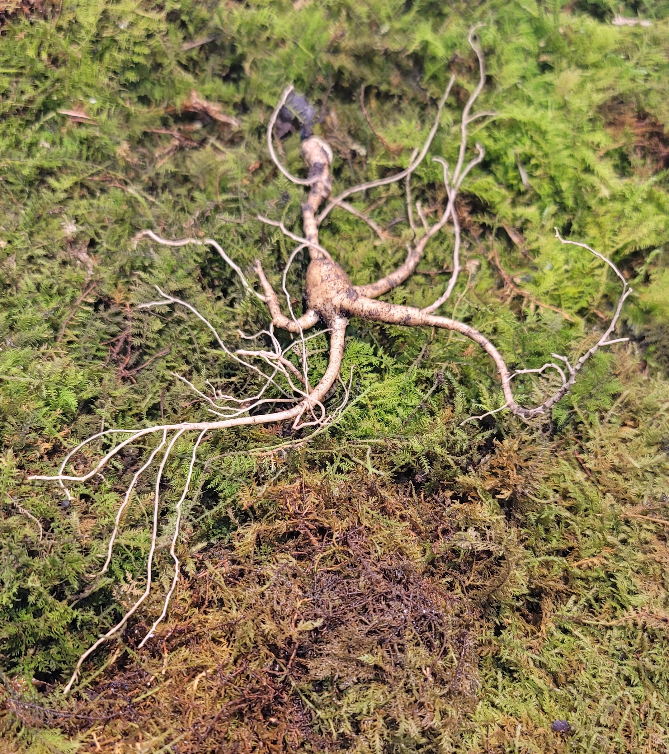 bd492bc1ba68ae5733bc8423b5825d0f_1768621753_0371.jpg bd492bc1ba68ae5733bc8423b5825d0f_1768621753_0371.jpg