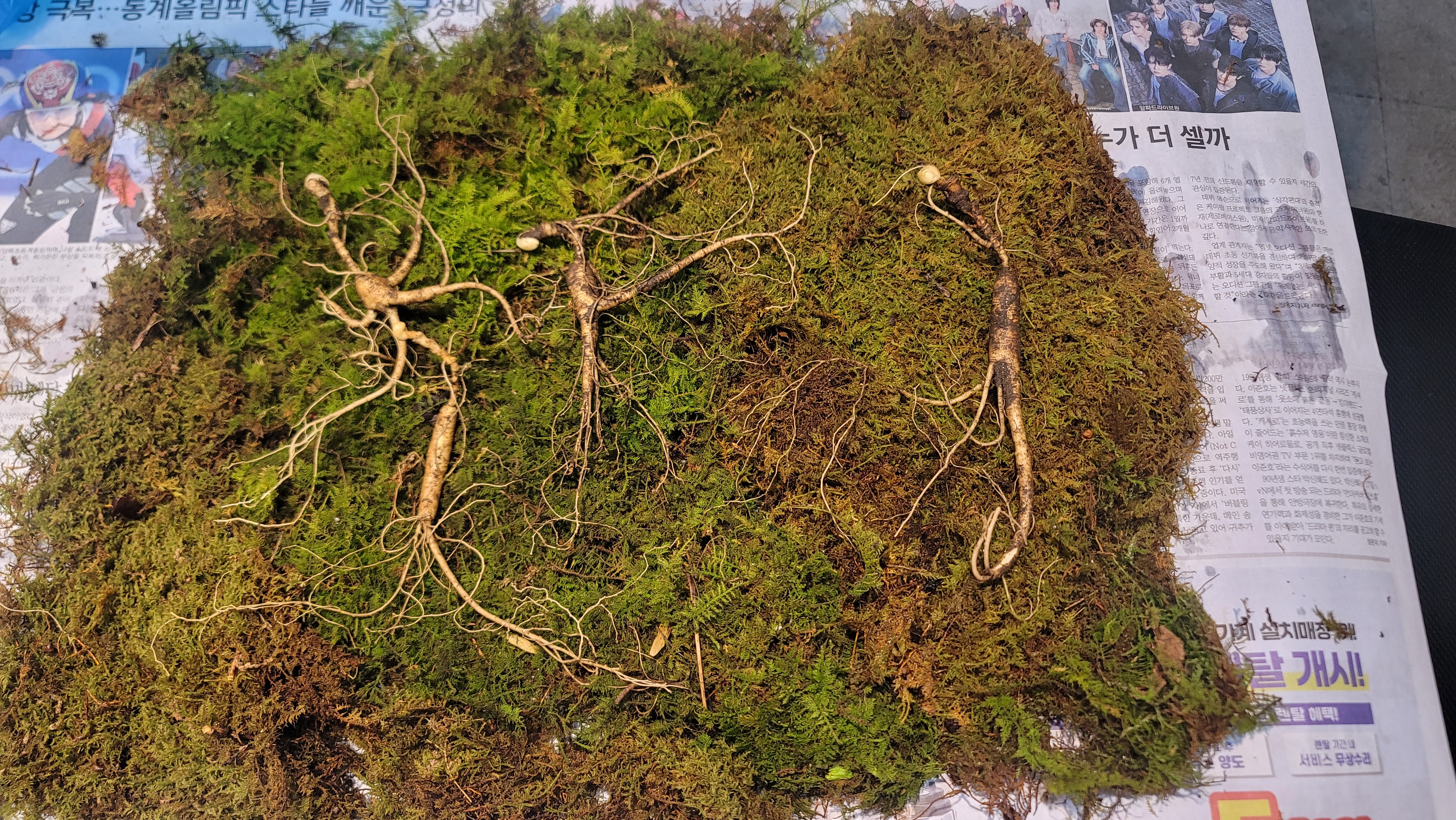 bd492bc1ba68ae5733bc8423b5825d0f_1768621754_8684.jpg bd492bc1ba68ae5733bc8423b5825d0f_1768621754_8684.jpg