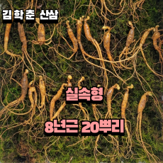 실속형 산종산양삼 8년근 20뿌리 뇌두 5마디