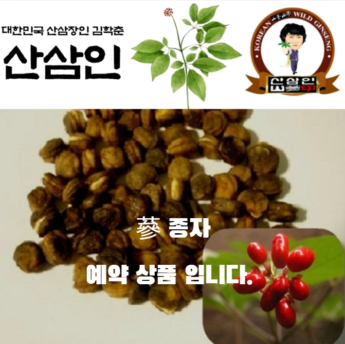 7월말--8월초에 채종하여 3개월간 개갑하여 보내드립니다.